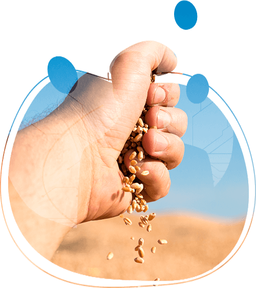 About RBK INTERNATIONAL